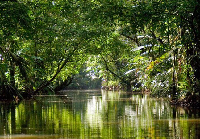 Costa Rica Expeditions景点图片