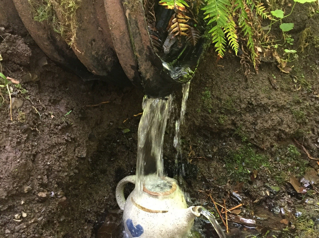 Teapot Hill Trail-Cultus Lake必去景点