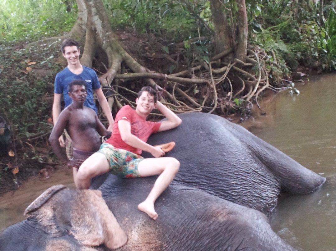 Friends Private Tours-加勒必去景点