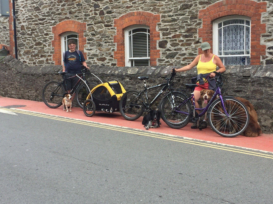 Pentewan Valley Cycle Hire景点图片