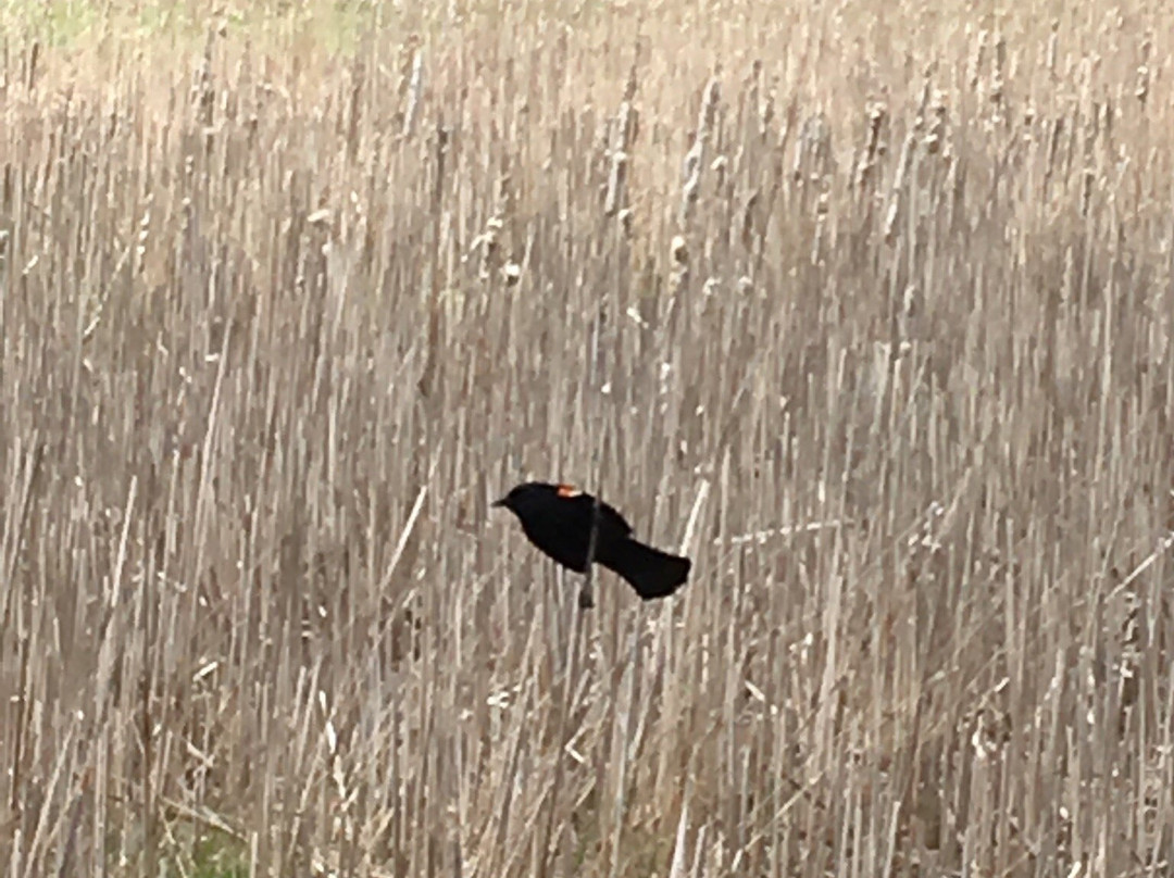 Woodland Dunes Nature Center-Two Rivers必去景点