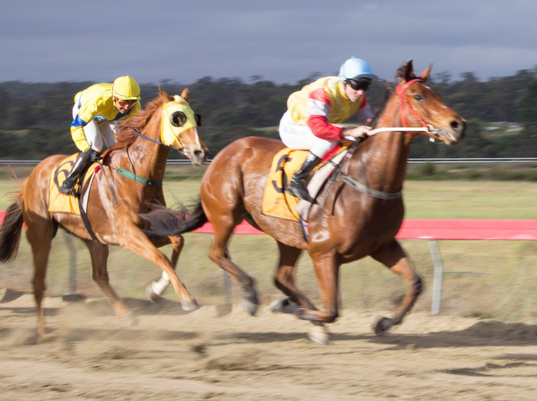 Collie Visitor Centre-Collie必去景点