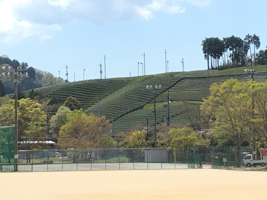 Wazuka Sports Park景点图片