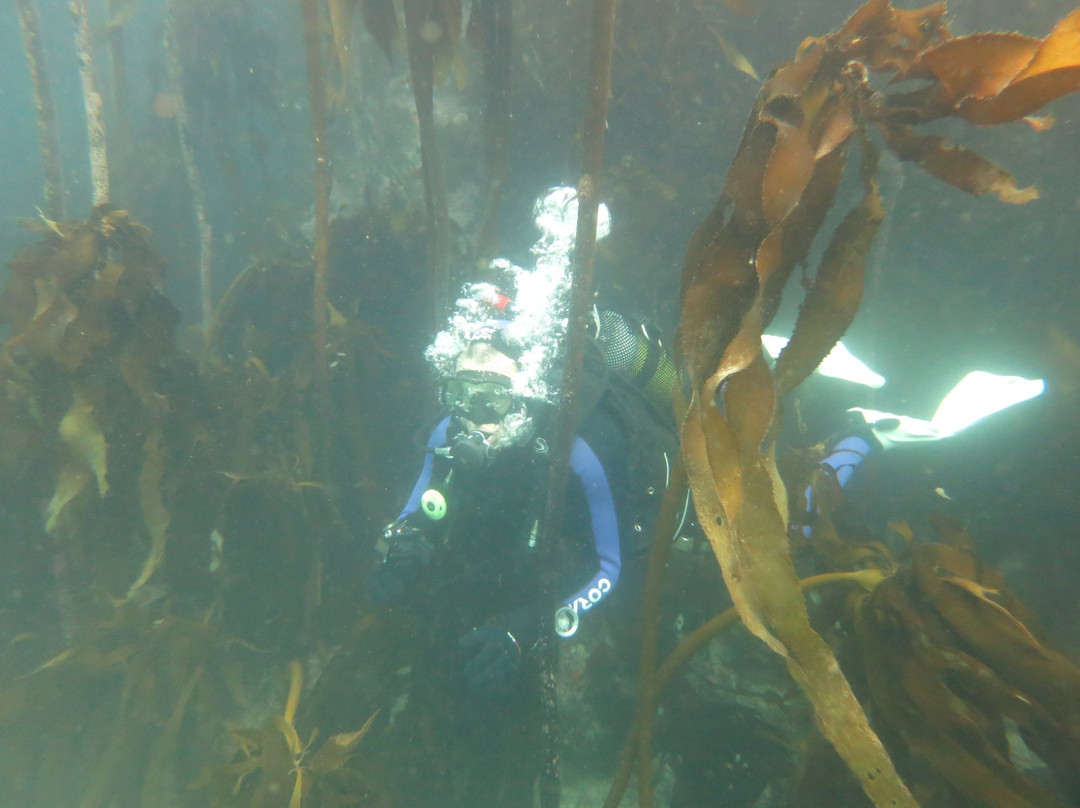 Scuba Shack-西门镇必去景点