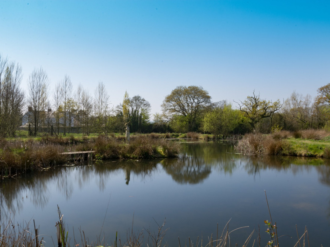 Lower Bruckland Farm Nature Reserve-Musbury必去景点