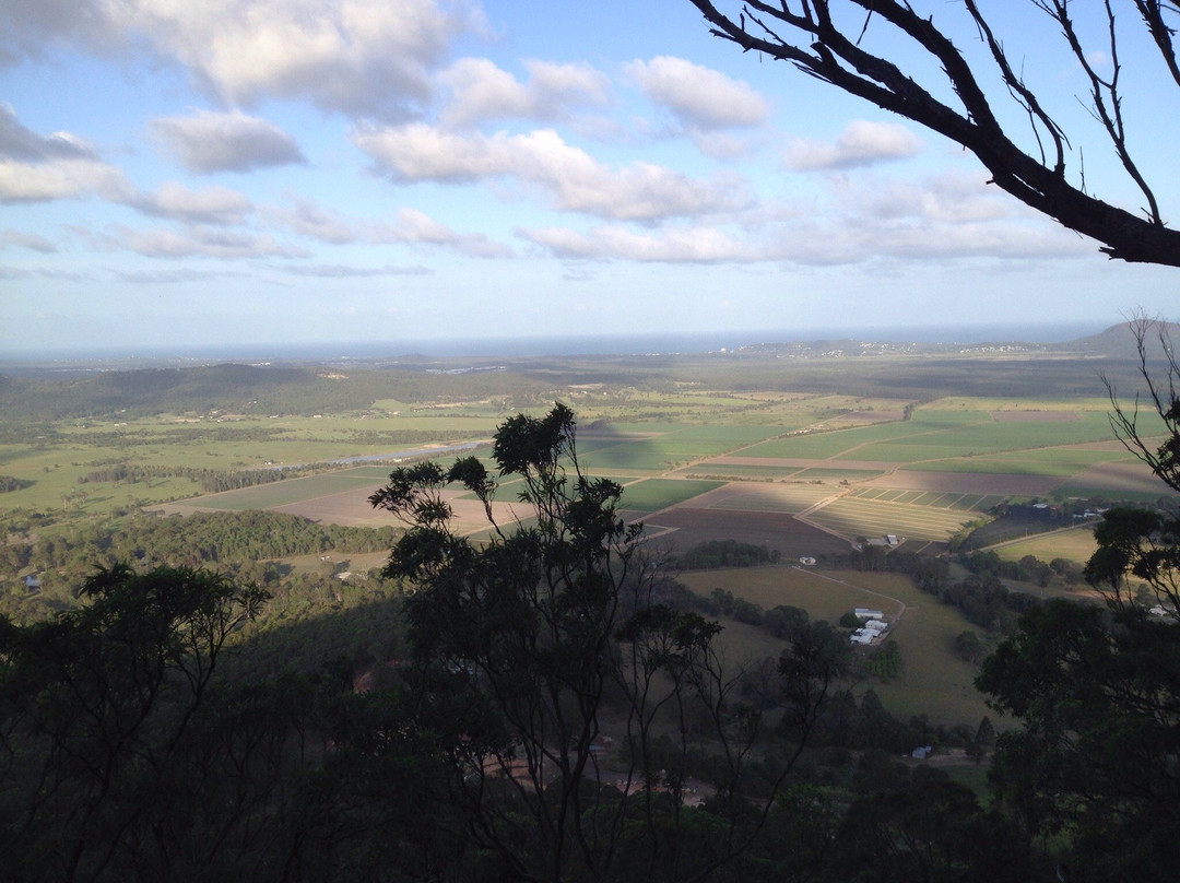 Mount Ninderry景点图片