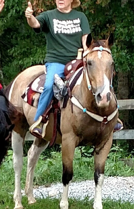 Saddle View Outfitters-Sunset必去景点