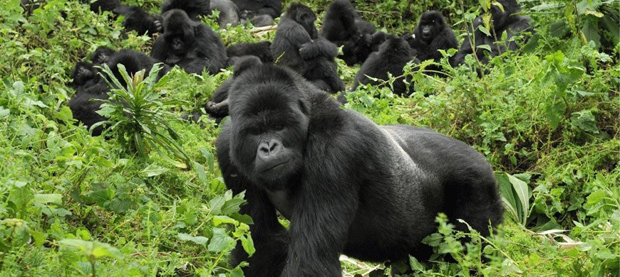 souvenier safaris-吉佳利必去景点