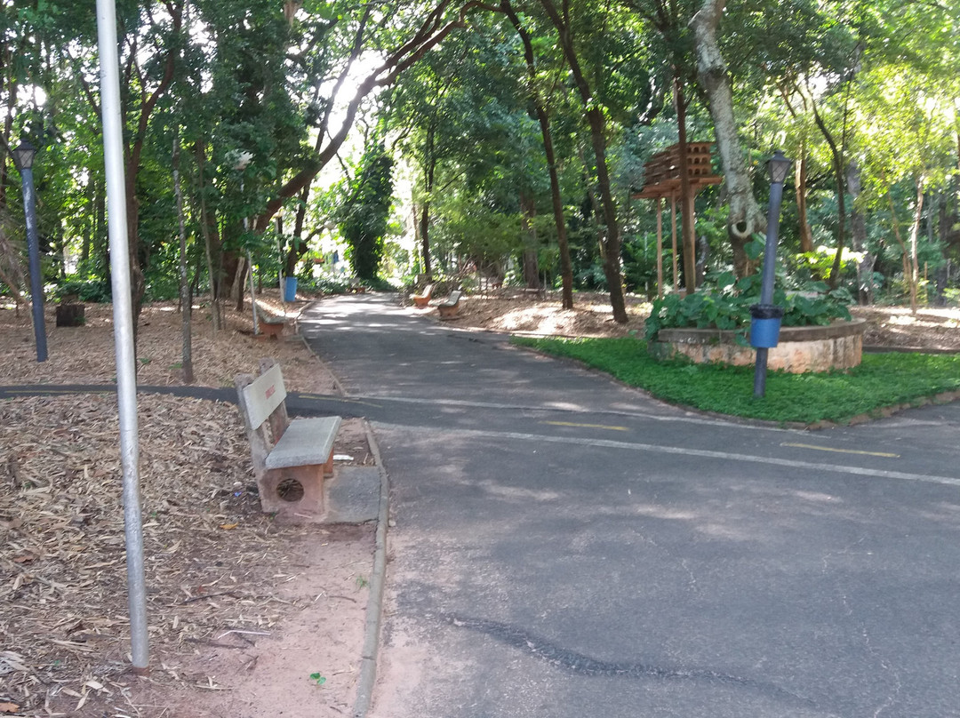 Bosque da Comunidade景点图片