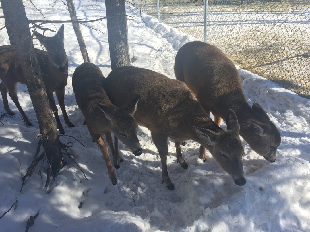 Refuge Pageau-Amos必去景点