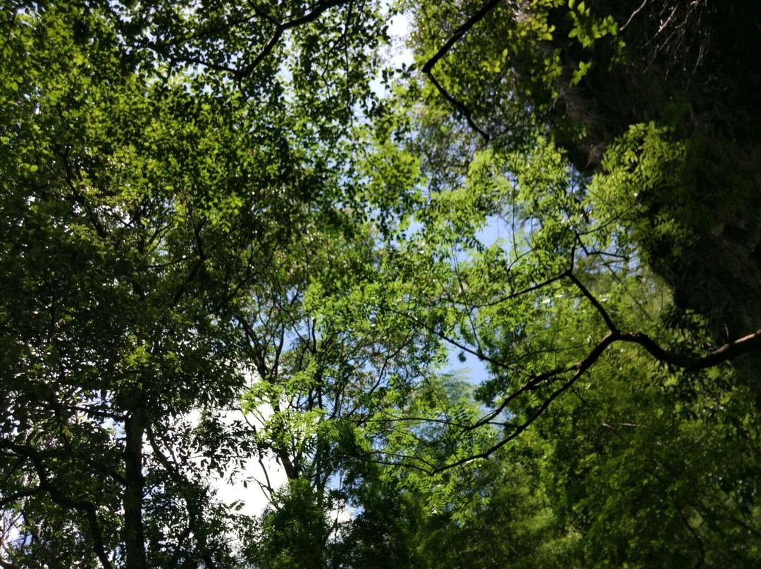诸暨斗岩景点图片