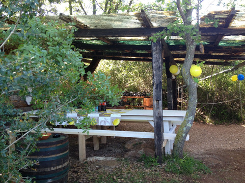 Paintball Point Flash-罗维尼必去景点