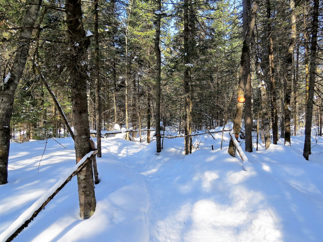 Le Centre de Plein air de Beauport-魁北克市必去景点