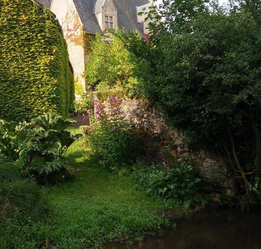 Manoir de Classé景点图片