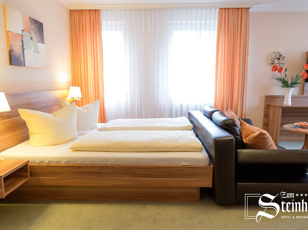 Hotel Zum Steinhof主图