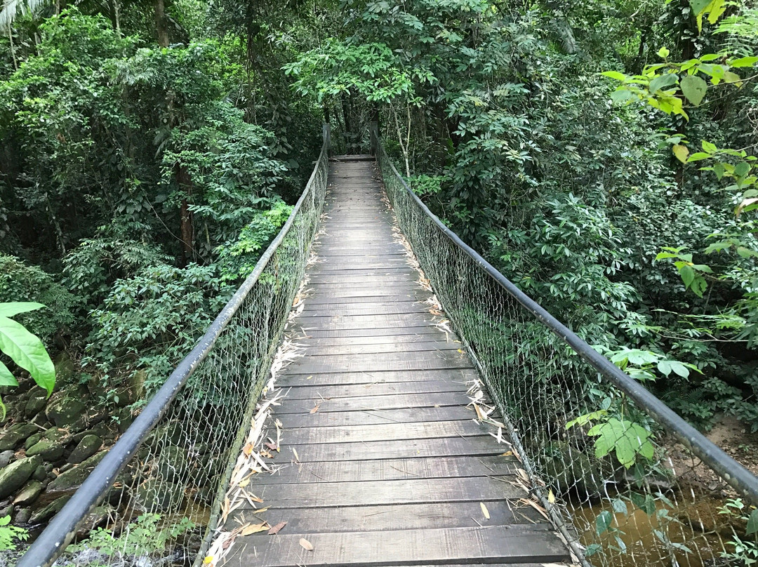 Parque Estadual Serra do Mar - Núcleo Caraguatatuba-Caraguatatuba必去景点