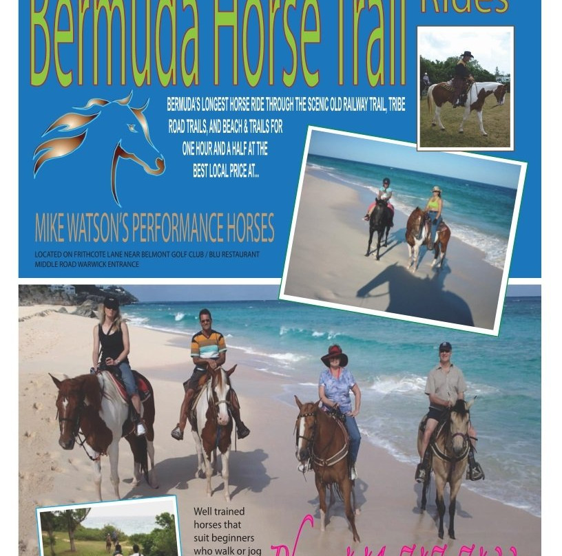 Bermuda's Best Horse Trail Rides and Horses-Warwick Parish必去景点
