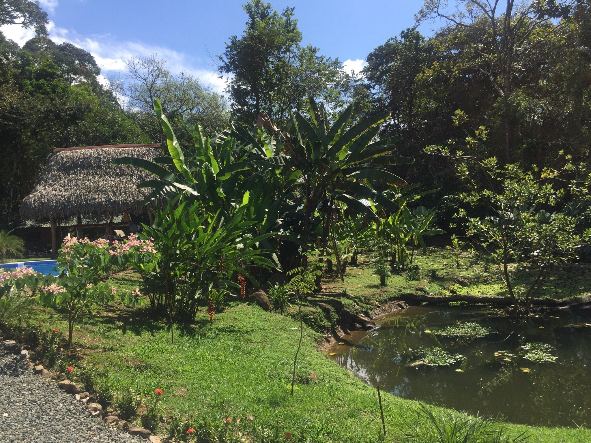 Natura Lodges-官方