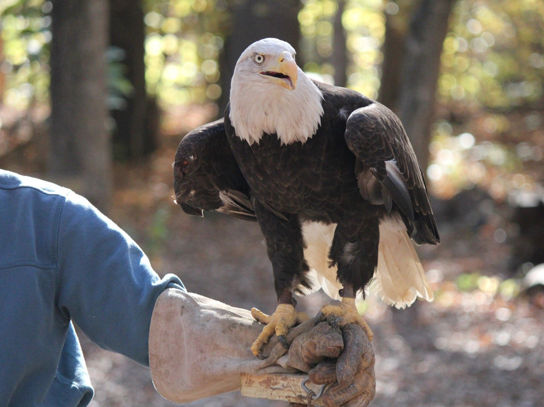 Wesselman Woods Nature Center-埃文斯维尔必去景点