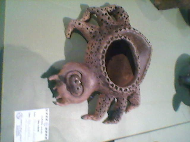 Museo Provincial de Ciencias Naturales y Antropologicas景点图片