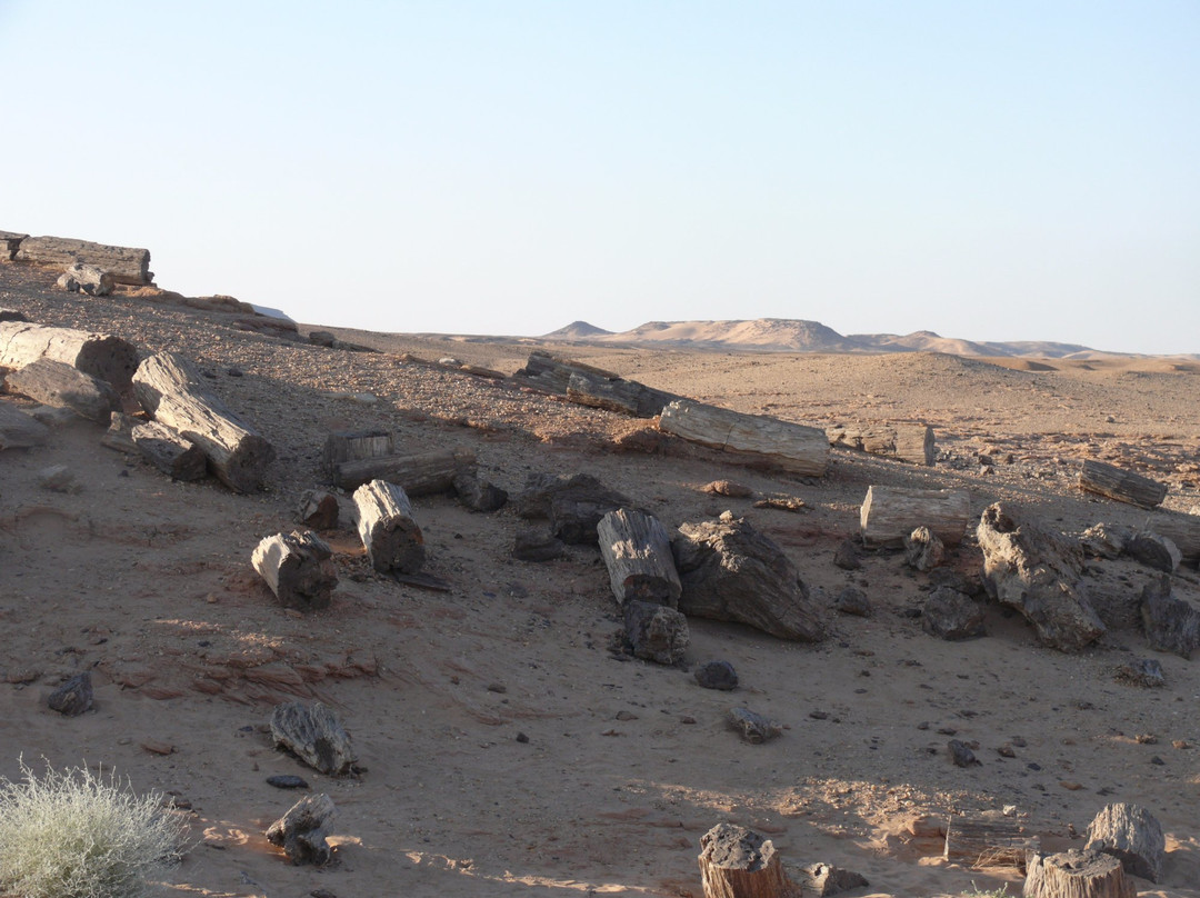 Petrified Forest-Merowe必去景点