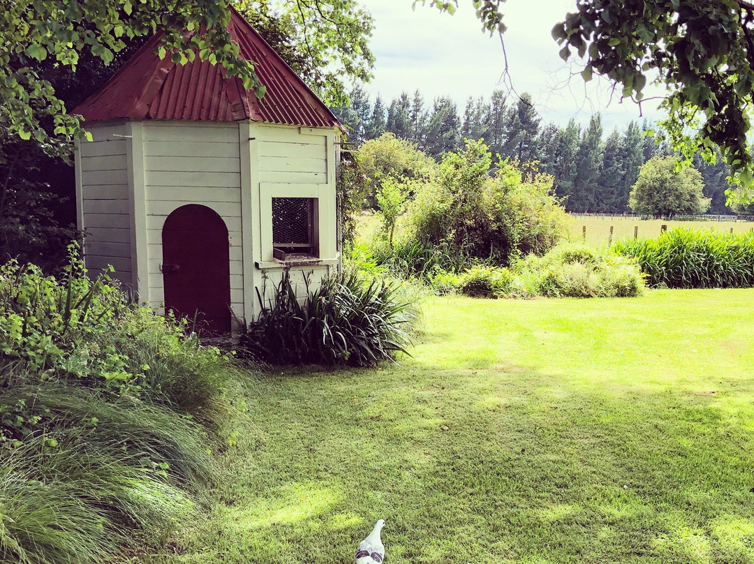 Llandaff Country Retreat B & B主图