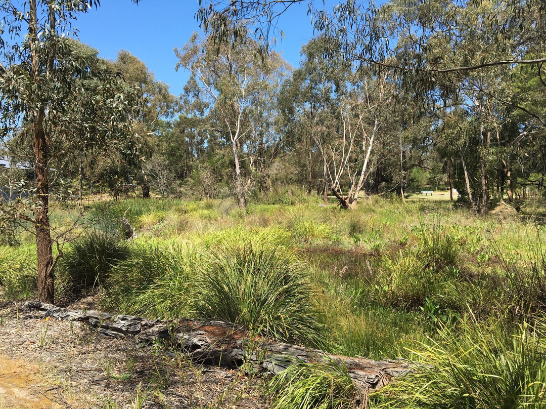 Yarrabing Wetlands Reserve景点图片