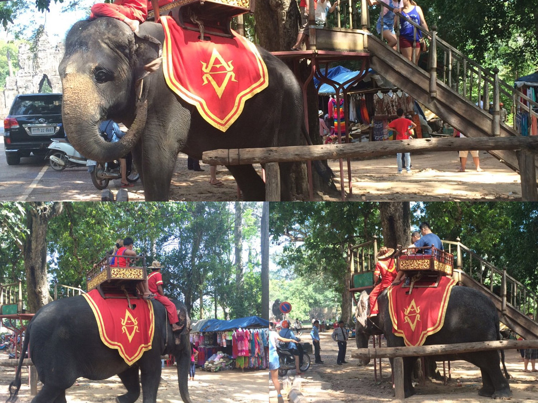 Sok Ly Siem Reap Tuk Tuk Driver-暹粒必去景点