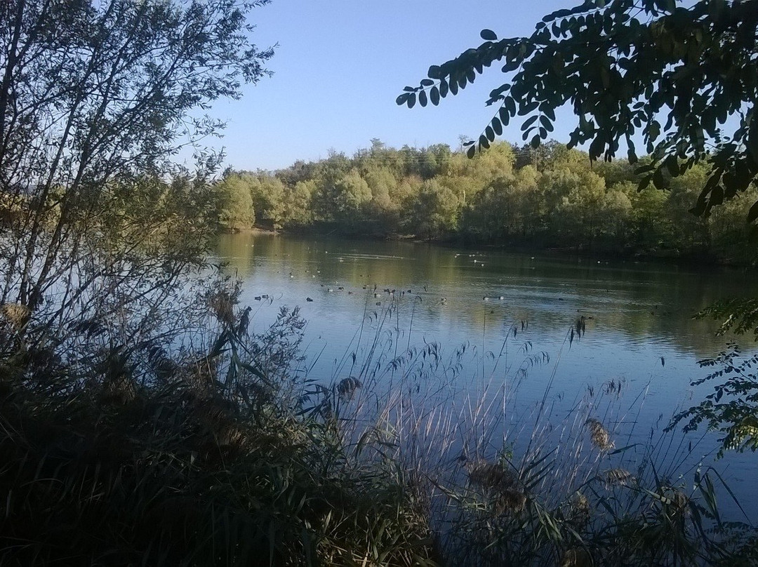 Parco "Il Lago" di Altavilla Vicentina景点图片