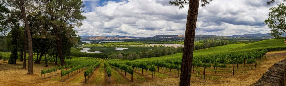 Vigilance Vineyards & Winery景点图片