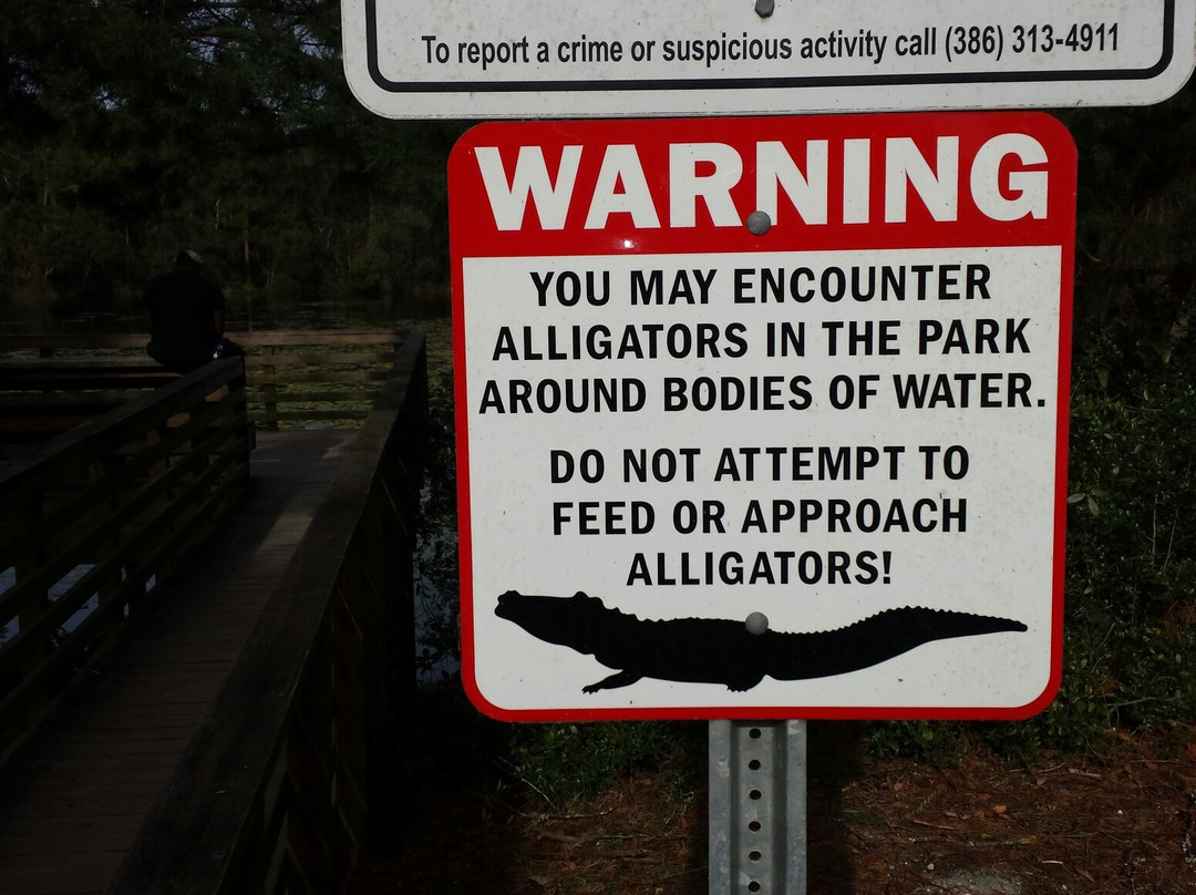 Graham Swamp Preserve-棕榈海岸必去景点