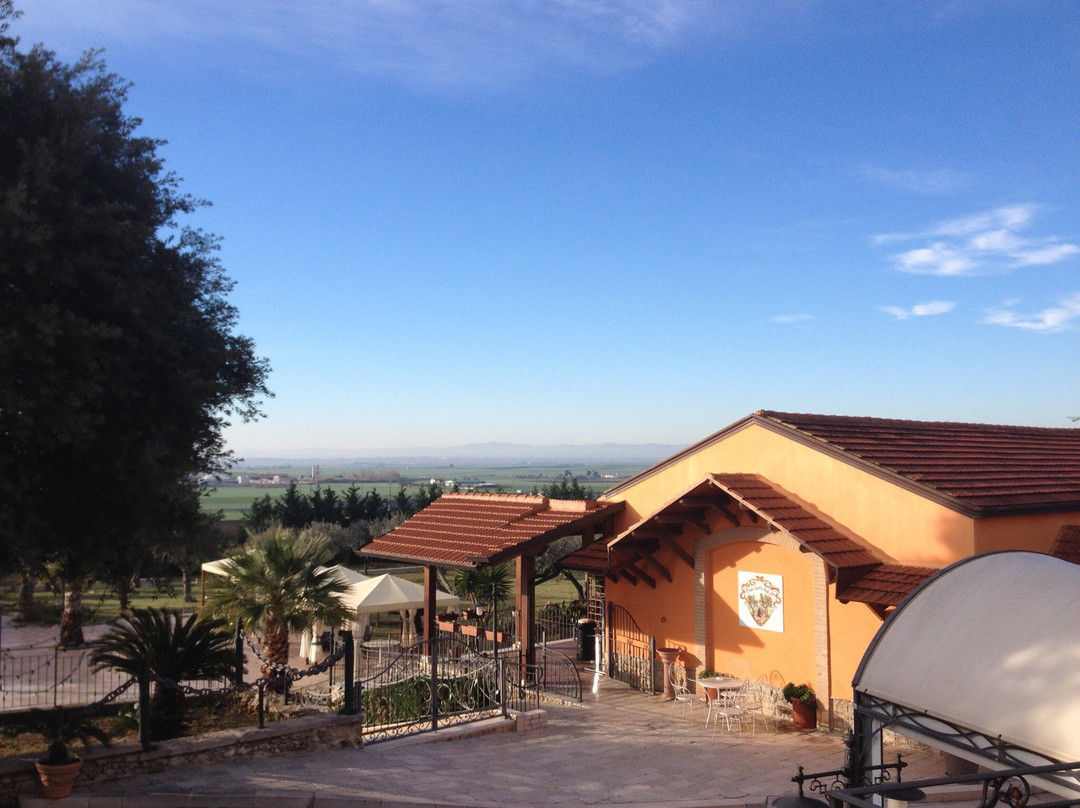 Tenuta Grotta degli Ulivi主图