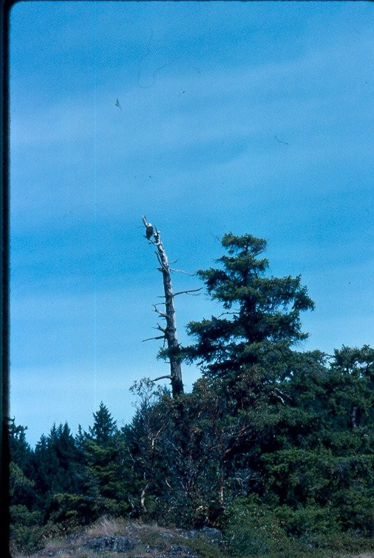 Okeover Arm Provincial Park景点图片