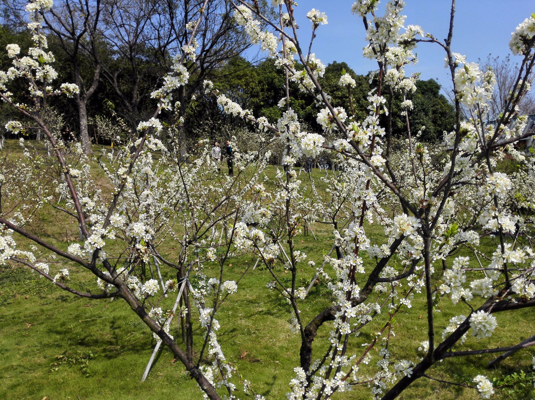 紫马岭公园-中山市必去景点