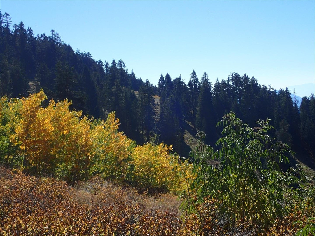 Mount Ashland-阿什兰必去景点