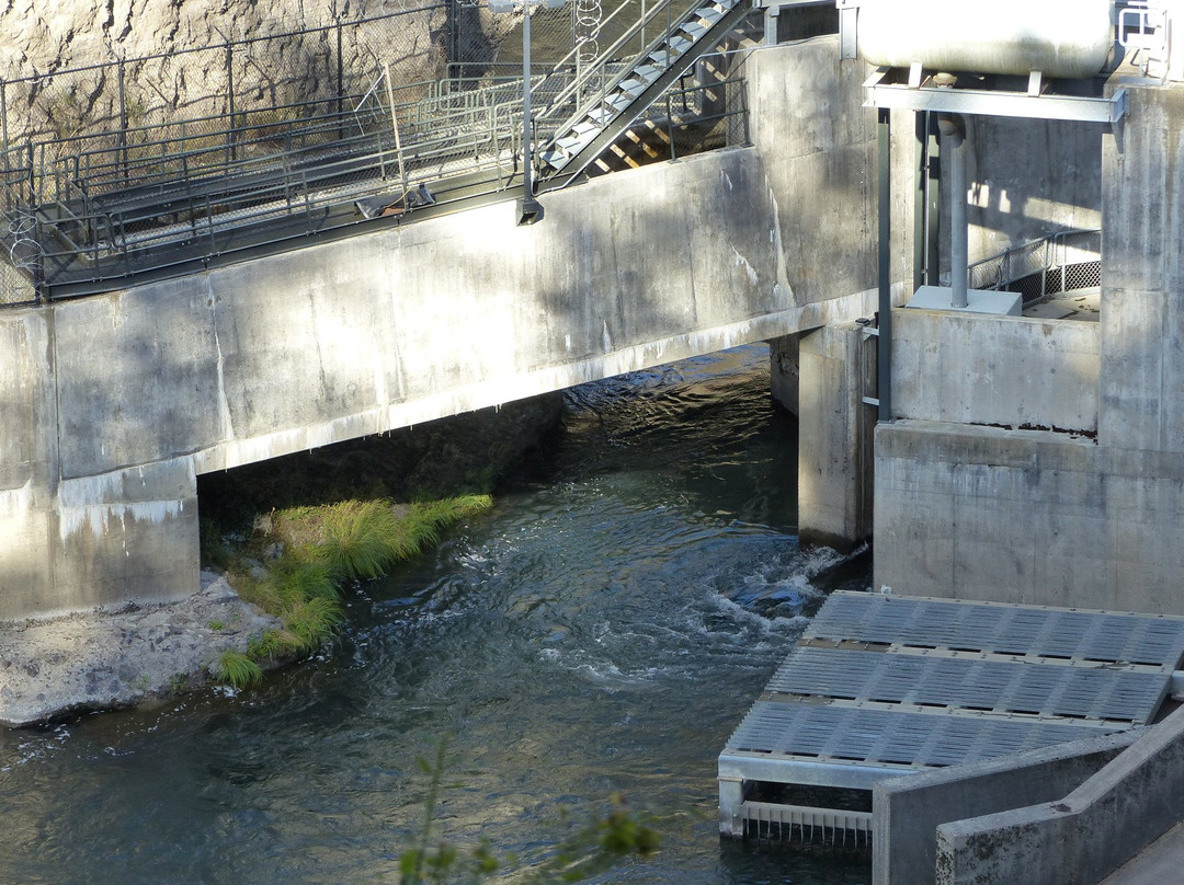 Milo McIver State Park-波特兰必去景点