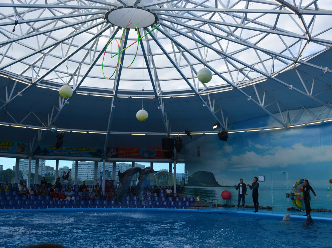 Minsk Dolphinarium Nemo-明斯克必去景点