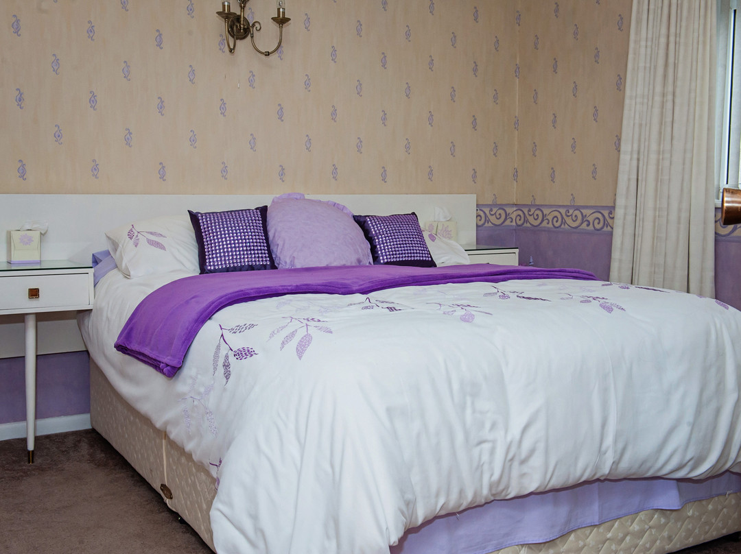 Ardmore Bed & Breakfast主图