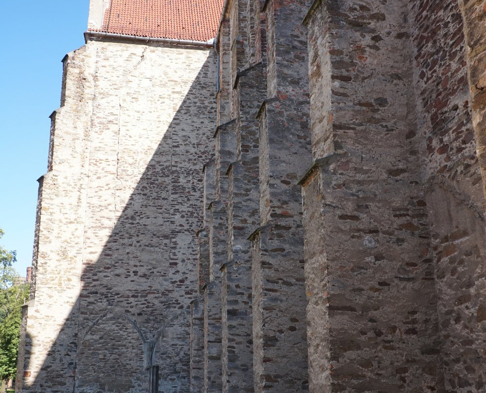 Cistercian Abbey in Kamieniec Zabkowicki景点图片
