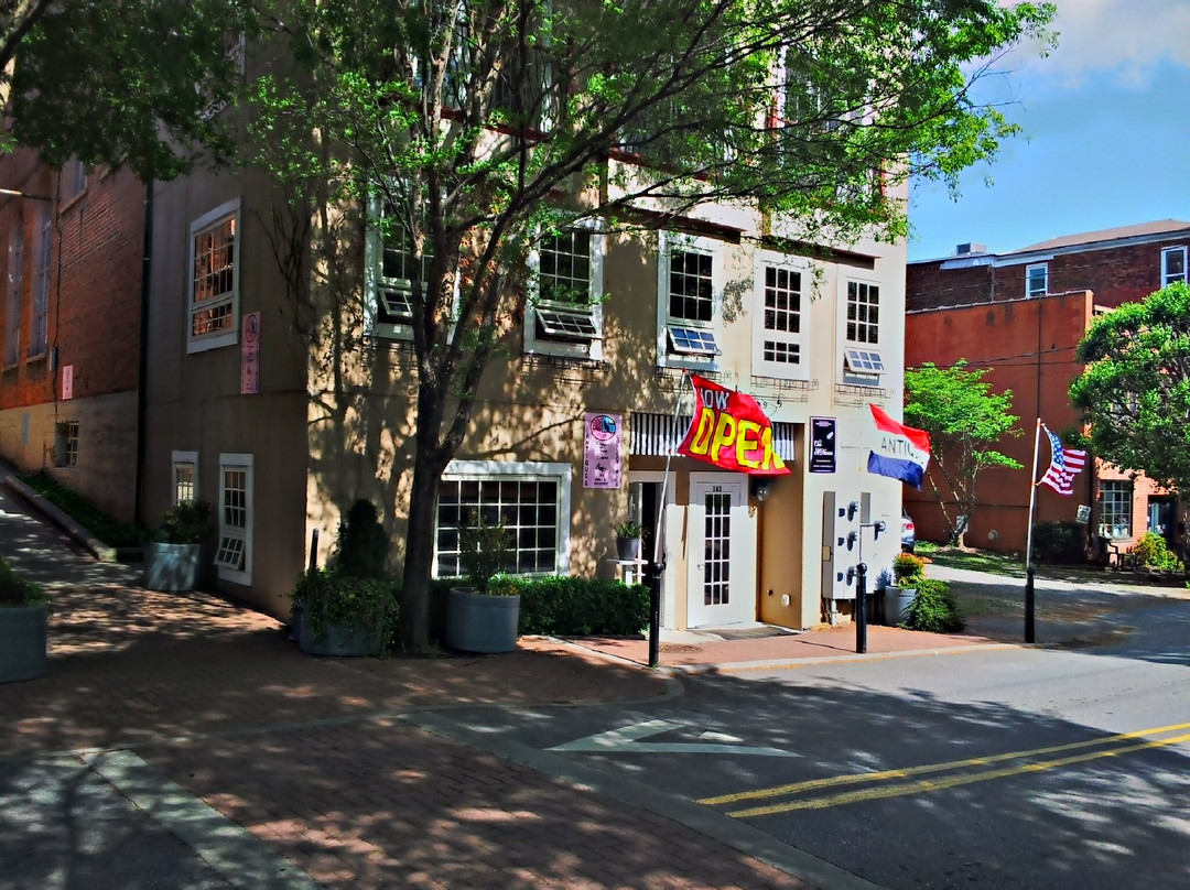 A Cat In The Attic Treasures & Treats Antiques Towne Square-韦恩斯维尔必去景点