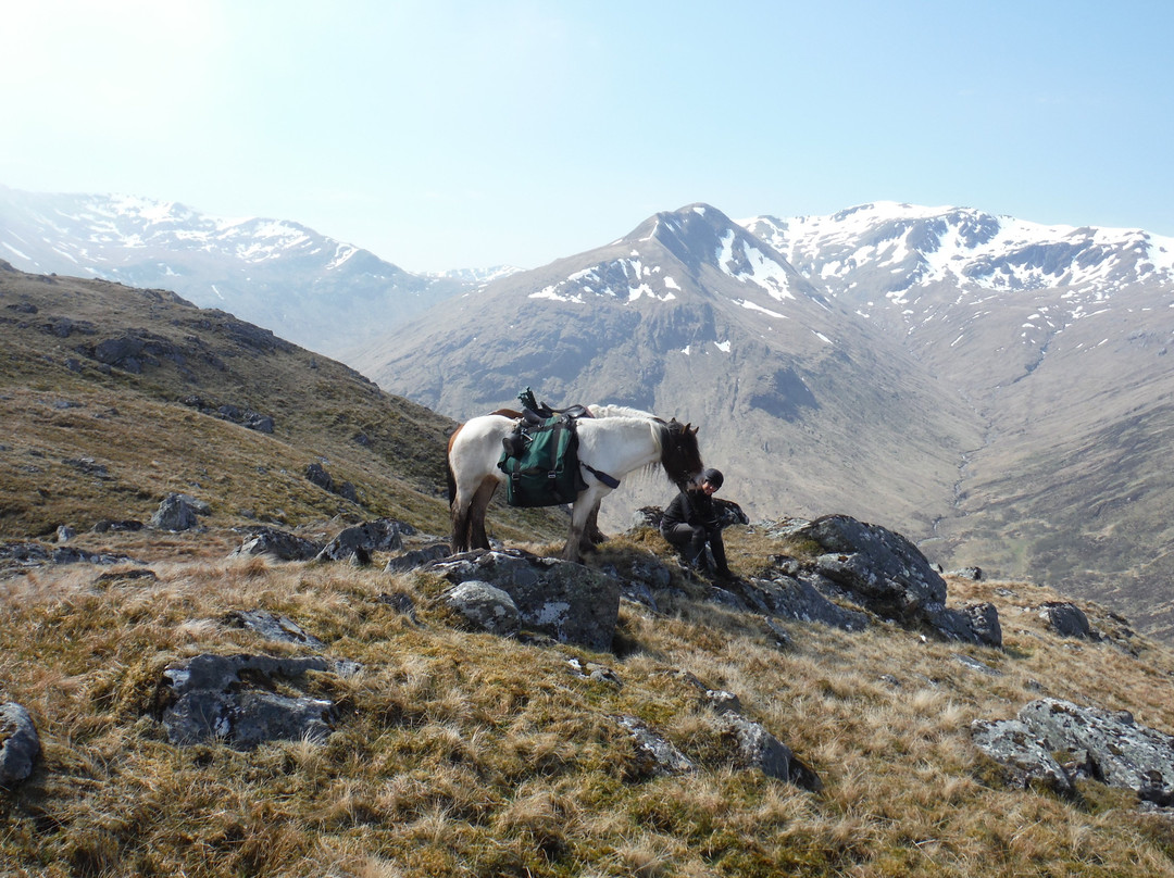 Highland Trekking and Trail Riding景点图片