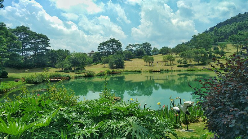 佛冈碧桂园假日温泉酒店主图