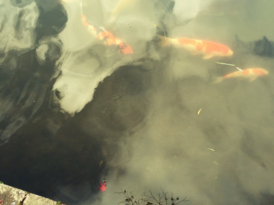 Jokoji Temple景点图片