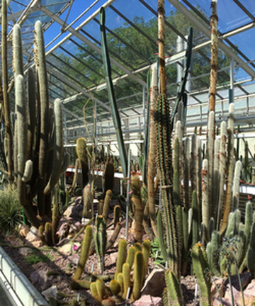 Zurich Succulent Plant Collection景点门票图片