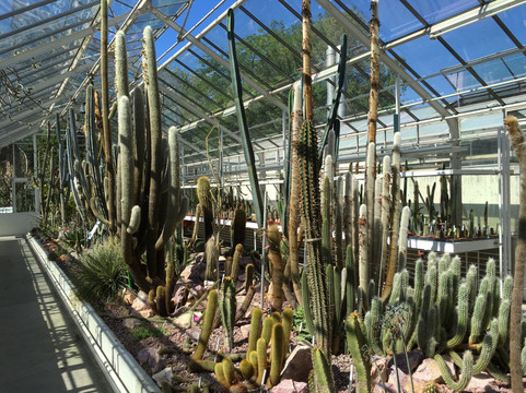 Zurich Succulent Plant Collection-苏黎世必去景点