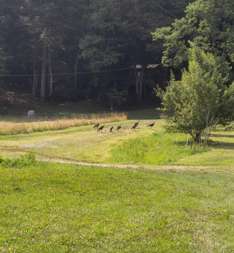 Crab Creek Bed and Bale