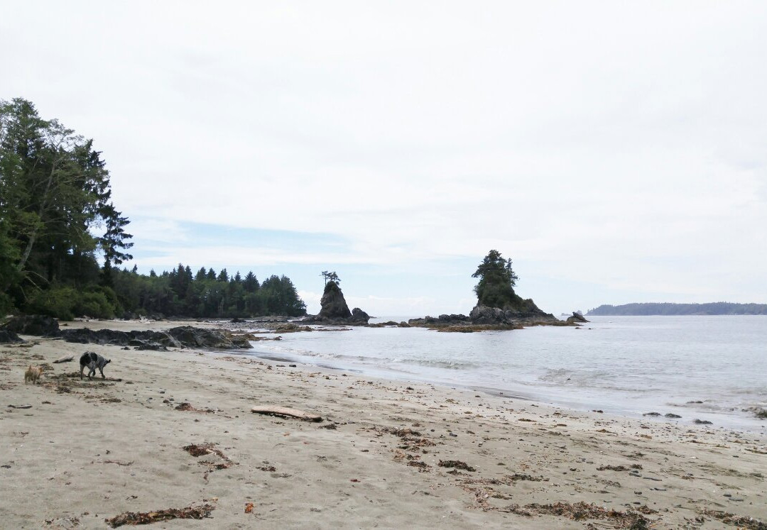 Brady's Beach景点图片