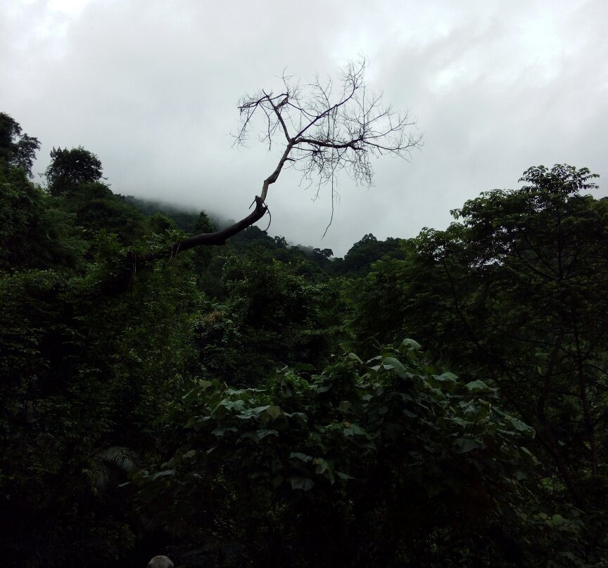 Meenvallam Waterfalls-Palakkad必去景点
