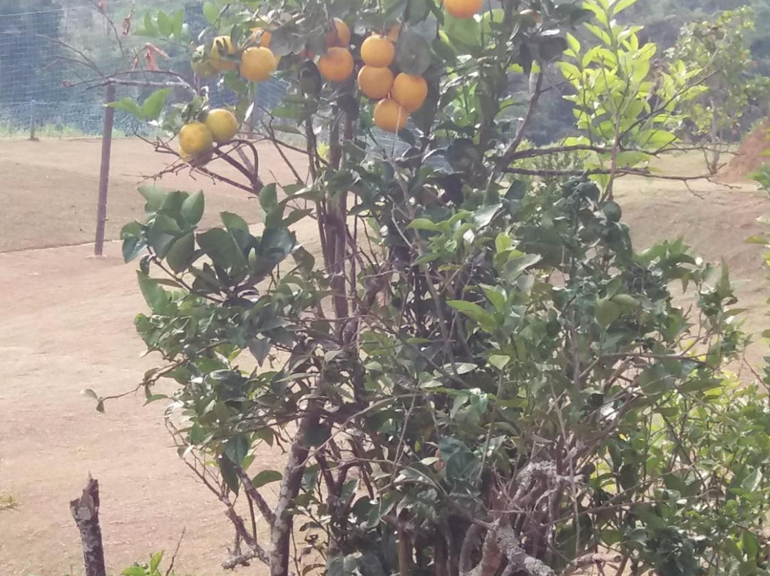 Pousada Caturama主图