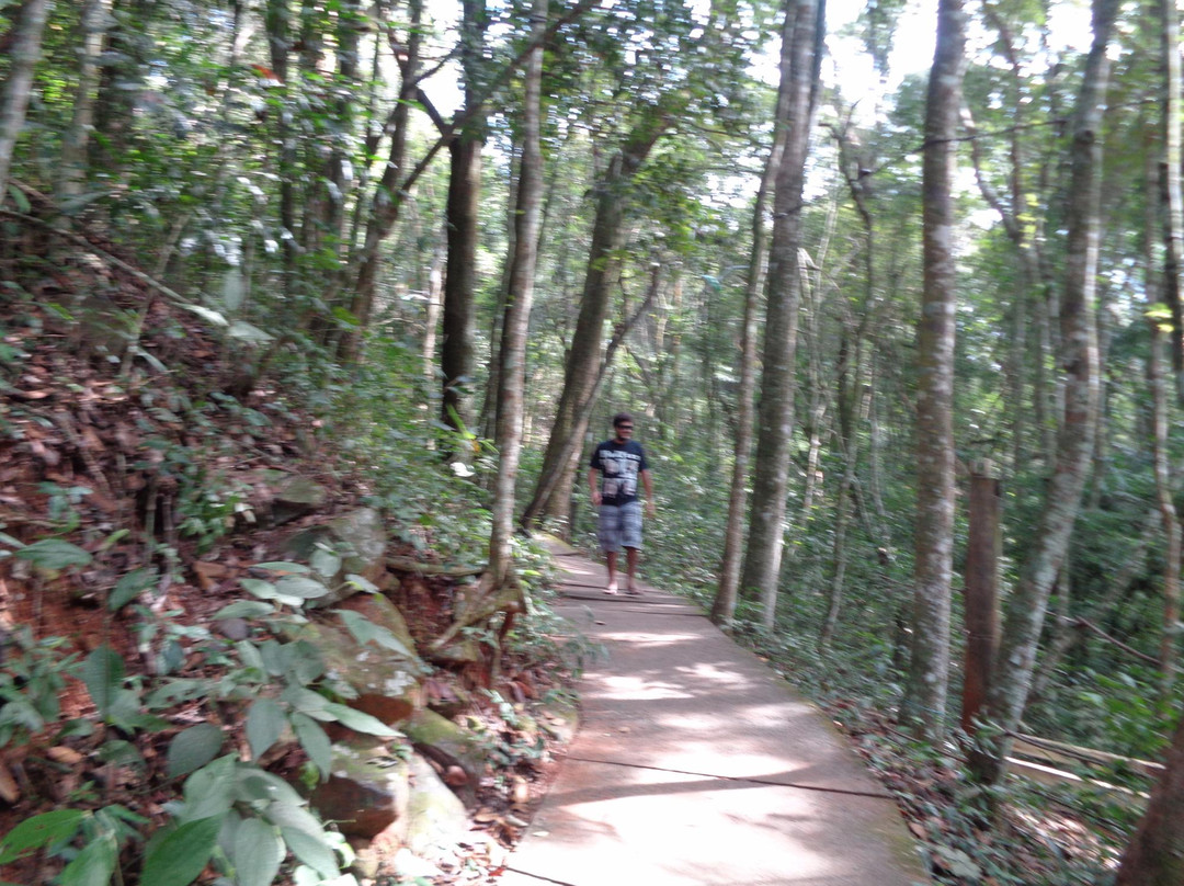 Dorigon Falls-Sao Pedro必去景点